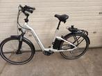 Electrische fiets, Verzenden, Overige merken