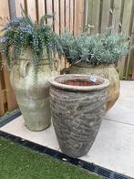 Prachtige kruik bloempot nieuw!, 25 tot 40 cm, Rond, Nieuw, Ophalen of Verzenden
