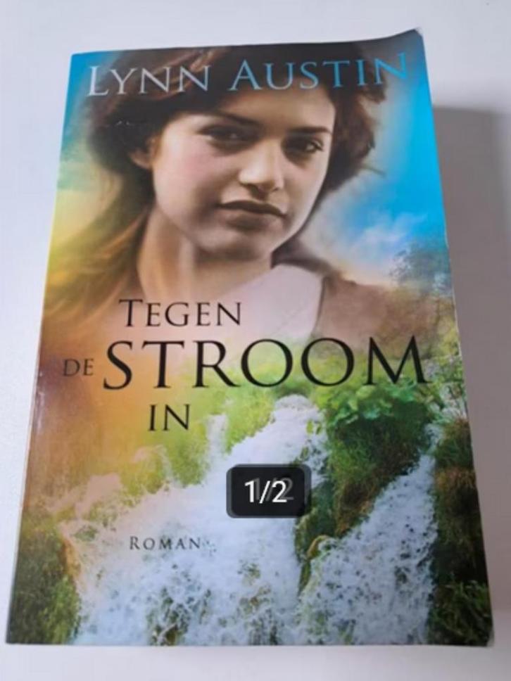 Lynn Austin - Tegen de stroom in, Boeken, Romans, Gelezen, Ophalen of Verzenden