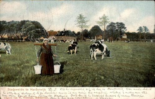 Stadsweide te Harderwijk, Verzamelen, Ansichtkaarten | Nederland, Gelopen, Gelderland, 1920 tot 1940, Ophalen of Verzenden