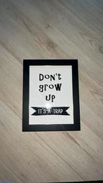 Poster in lijst, Huis en Inrichting, Ophalen, Zo goed als nieuw, Kunststof, Minder dan 50 cm