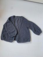 Te koop handgebreid Bernadettevest parelgrijs, Kleding | Dames, Truien en Vesten, Ophalen of Verzenden, Zo goed als nieuw, Grijs