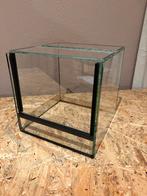 Mooi terrarium 20x20x20, Dieren en Toebehoren, Ophalen of Verzenden, Zo goed als nieuw