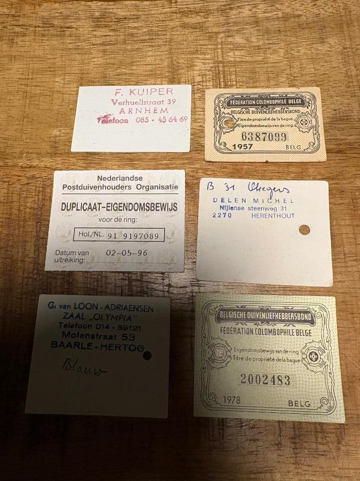 Gevraagd Eigendomsbewijzen of Ringen, Dieren en Toebehoren, Vogels | Duiven, Postduif, Meerdere dieren