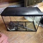 Superfish aquarium 150 liter, Vis, Zoetwatervis, Schoolvis