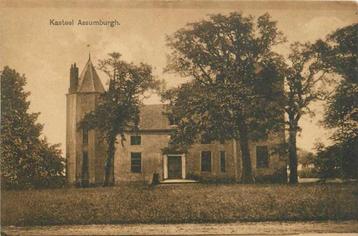 (300-028-029) Heemskerk Kasteel Assumburgh beschikbaar voor biedingen