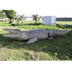 Krokodil 12 meter - levensecht krokodil beeld XXL, Verzamelen, Ophalen, Nieuw, Overige typen