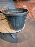 Grote Boomkuip - Plantenbak, Ophalen, Tuin, Kunststof, Gebruikt