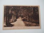 Ansichtkaart.  Boschgezicht op den Grebbeberg., Verzenden, 1920 tot 1940, Ongelopen, Noord-Holland