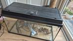 Juwel 80 cm aquarium 110 liter met toebehoren, Dieren en Toebehoren, Vissen | Aquaria en Toebehoren, Ophalen, Gebruikt, Leeg aquarium