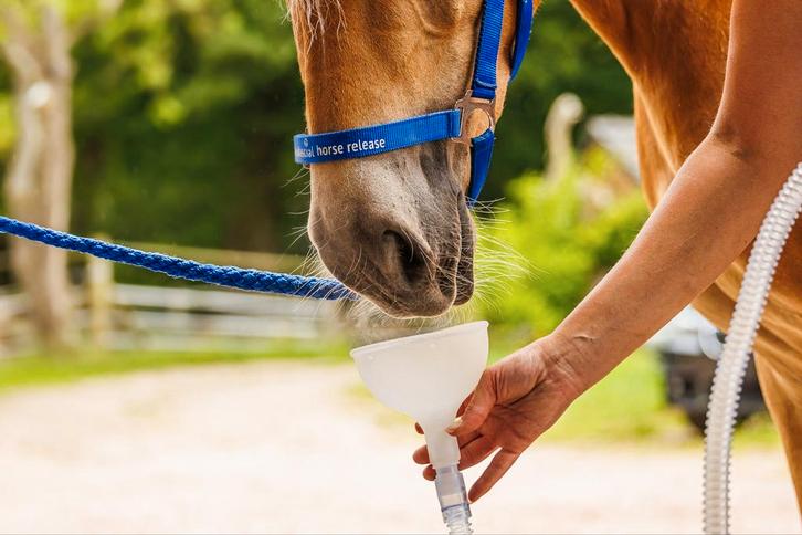 Nano CellCare therapie paard, hond en humaan, Dieren en Toebehoren, Paarden en Pony's | Overige Paardenspullen, Nieuw, Overige soorten
