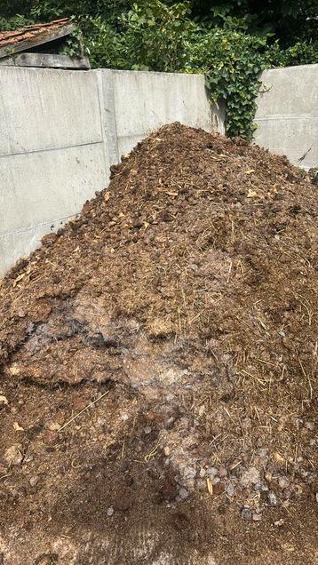 Paardenmest gratis beschikbaar voor biedingen