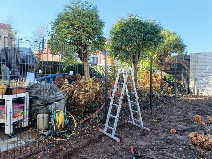 Zuidhek, Tuin en Terras, Tuinhekken en Hekwerk, Zo goed als nieuw, IJzer, Ophalen of Verzenden