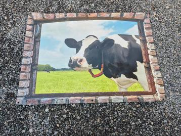 Tuinposter koe beschikbaar voor biedingen