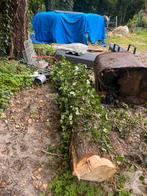 3 stammen verschillende soorten hout. Zelf zagen., Ophalen, Overige houtsoorten, Stammen
