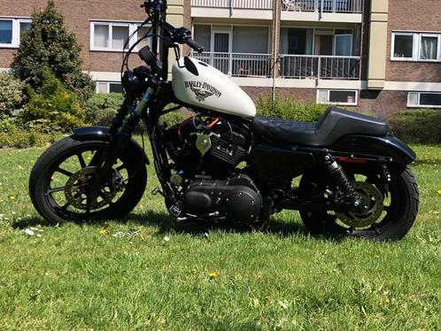 Harley Davidson sportster Xl 1200, Motoren, Motoren | Harley-Davidson, Particulier, Chopper, Ophalen
