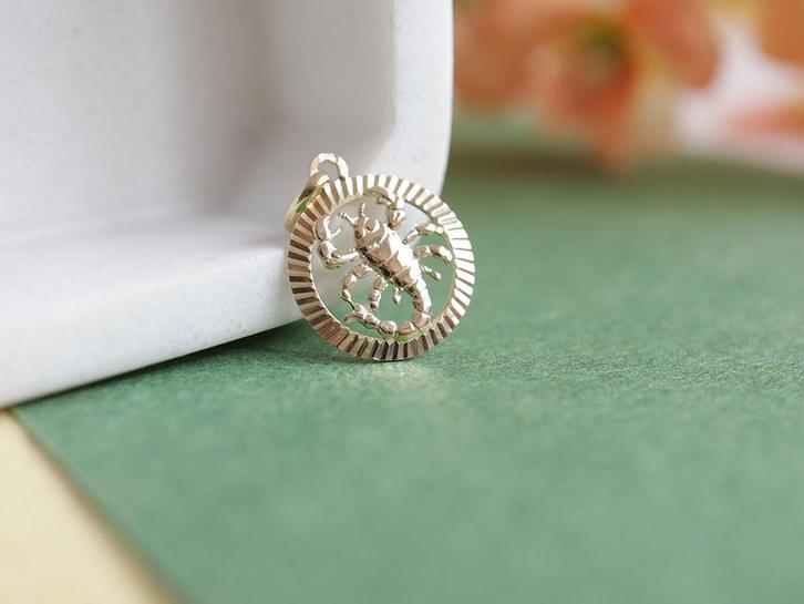 Gouden Sterrenbeeld Hanger Schorpioen | 14 Karaat Goud, Sieraden, Tassen en Uiterlijk, Kettinghangers, Zo goed als nieuw, Goud