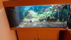 Aquarium met onderkast inclusief vissen en accessoires teab, Dieren en Toebehoren, Vissen | Aquaria en Toebehoren, Ophalen, Gebruikt