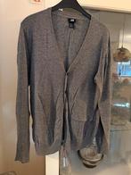 H&M Grijs Vest - Maat M, Ophalen of Verzenden, Zo goed als nieuw, Maat 48/50 (M), Grijs