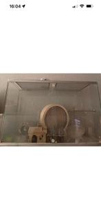 Glazen hamster verblijf + toebehoren en voer, Gebruikt, Overige typen, Hamster, Ophalen