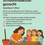 Schoonmaakster gezocht, Overige uren, Overige niveaus, Vanaf 3 jaar, Overige vormen