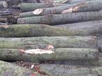 Boomstammen met diameter 3-40cm gratis bezorgd, Stammen, 3 tot 6 m³, Ophalen, Overige houtsoorten