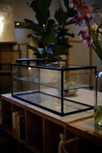 vitrine design vitrinekast, Ophalen of Verzenden, 25 tot 50 cm, 50 tot 100 cm, Minder dan 100 cm