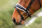 NIEUWE Wit onderlegde neusriem - Matte afwerking, Dieren en Toebehoren, Dressuur, Bitsnbridles.eu@outlook.com, Nieuw, Tijnjeweg 37