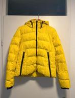 Knalgele Superdry winterjas - Maat 42, Ophalen of Verzenden, Zo goed als nieuw, Maat 42/44 (L), Geel