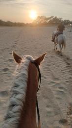 equin habitat drunen