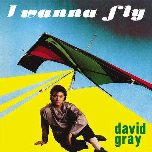 David Gray – I Wanna Fly 12" Maxisingle * Nieuw * Italo, Cd's en Dvd's, Vinyl | Dance en House, Nieuw in verpakking, Disco, 12 inch