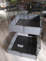 Cavia hok, Dieren en Toebehoren, Minder dan 60 cm, Ophalen of Verzenden, Zo goed als nieuw, Hok