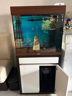 Te koop juwel aquarium met kast, Dieren en Toebehoren, Vissen | Aquaria en Toebehoren, Ophalen, Leeg aquarium