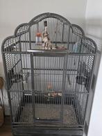 Strong Villa Emma vogelkooi, Dieren en Toebehoren, Vogels | Hokken en Kooien, Ophalen, Zo goed als nieuw, Metaal, Vogelkooi