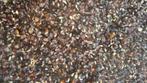 Boekweit Top Aas voor Karper 1,50 per kilo!!!, Ophalen of Verzenden, Nieuw, Overige typen