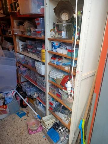 Kunstzinnige opgelet! Kunst spul; Mozaïek, lamp, ketting beschikbaar voor biedingen