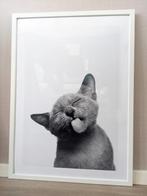 Poster Kat / Poster Kitten - 50x70 -met lijst, Ophalen of Verzenden