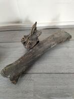 Wervel en been oer hert, Ophalen