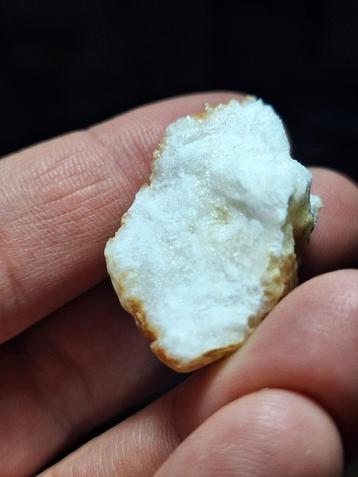 THOMSENOLIET EN PACHNOLIET, GROENLAND! (=TL) beschikbaar voor biedingen