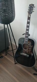 Sigma Hummingbird DM SG  5, Muziek en Instrumenten, Snaarinstrumenten | Gitaren | Akoestisch, Ophalen, Zo goed als nieuw, Western- of Steelstringgitaar
