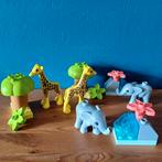 Duplo lego Safari dieren 2x set 10971 zgan samen €11,-, Kinderen en Baby's, Speelgoed | Duplo en Lego, Ophalen of Verzenden, Zo goed als nieuw