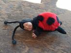 Anne Geddes, Ophalen of Verzenden, Zo goed als nieuw, Pop