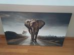Poster van wandelende olifant., Huis en Inrichting, Woonaccessoires | Schilderijen, Tekeningen en Foto's, Ophalen, Foto of Poster