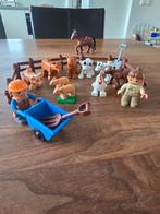 Duplo boerderijdieren en andere dieren, Ophalen of Verzenden, Gebruikt, Duplo
