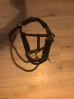 Halster, Dieren en Toebehoren, Ophalen of Verzenden, Gebruikt, Overige soorten