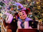 4 kaartjes Winter Efteling 17 januari, Tickets en Kaartjes, Drie personen of meer, Ticket of Toegangskaart