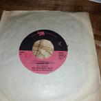 Shocking blue  / mighty joe, Ophalen of Verzenden, Gebruikt, Pop