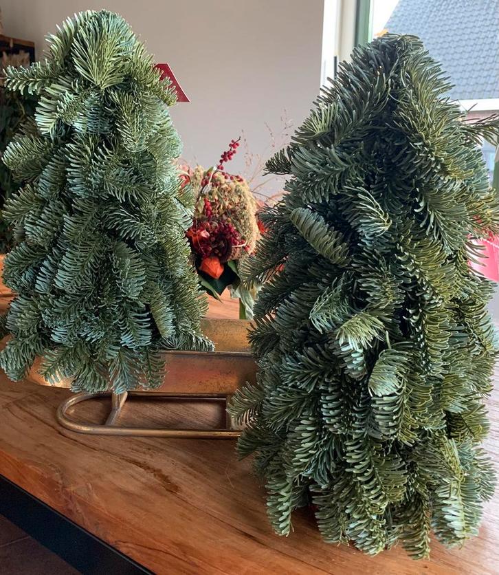 Nieuwe Nobilis boompjes 42 cm net echt!, Diversen, Kerst, Ophalen of Verzenden
