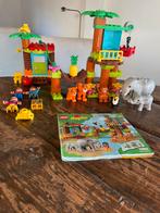 Duplo tropisch eiland 10906, Ophalen of Verzenden, Zo goed als nieuw, Duplo
