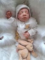 Rebornpop Estelle - Nieuw (Linde Scherer Kit), Ophalen of Verzenden, Nieuw, Babypop